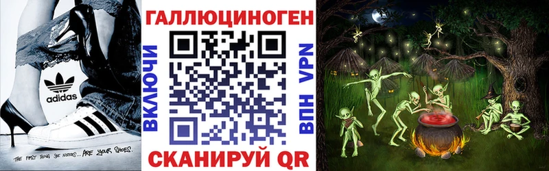 МЕГА как зайти  Кукмор  Галлюциногенные грибы Psilocybine cubensis 